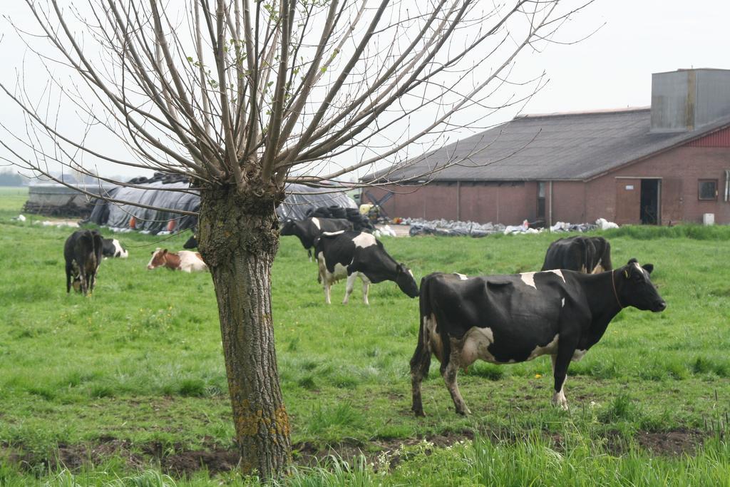 Camping De Grienduil Nieuwland (Vijfheerenlanden) Exterior foto