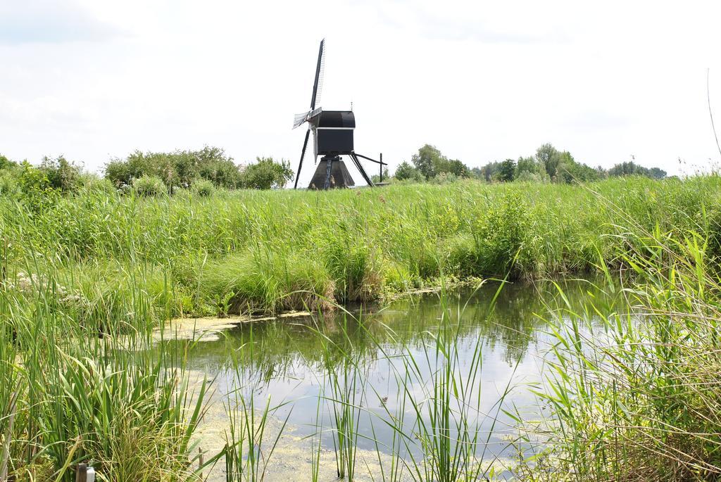 Camping De Grienduil Nieuwland (Vijfheerenlanden) Exterior foto