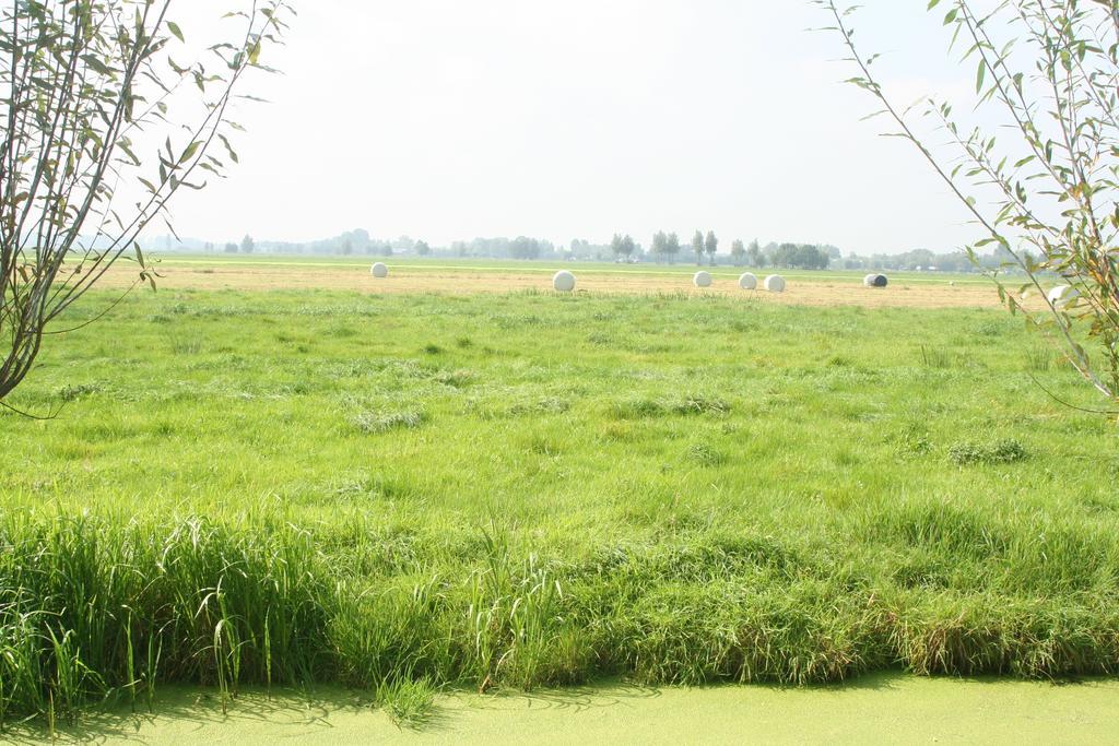 Camping De Grienduil Nieuwland (Vijfheerenlanden) Exterior foto